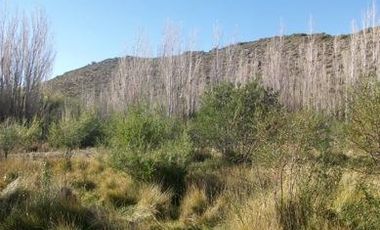 Oportunidad terreno en  Venta en Los Antiguos, Santa Cruz 11.169 m2