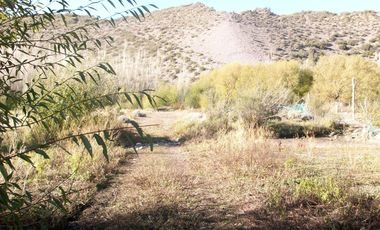 Oportunidad terreno en  Venta en Los Antiguos, Santa Cruz 11.169 m2
