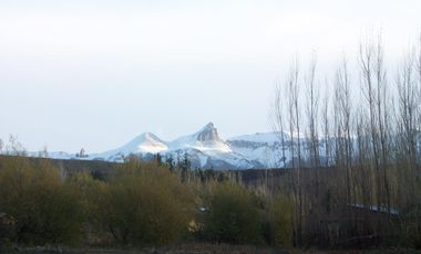 Oportunidad terreno en  Venta en Los Antiguos, Santa Cruz 11.169 m2
