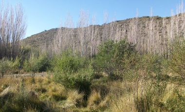 Oportunidad terreno en  Venta en Los Antiguos, Santa Cruz 11.169 m2