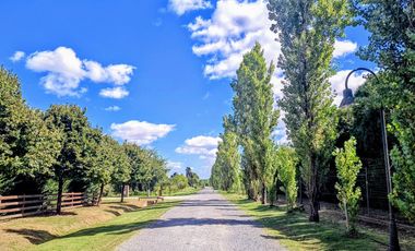 Chacras de la Reserva - Casa en venta de 4 dormitorios sobre lote de 2.000 m2