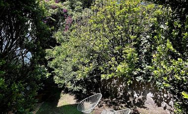 CASA EN VENTA O RENTA EN BOSQUES DE LAS LOMAS