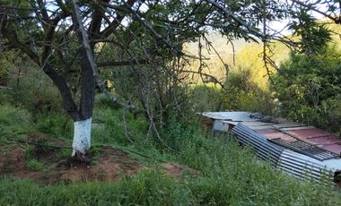 Se vende terreno sector Los Coligues  de Quilpué