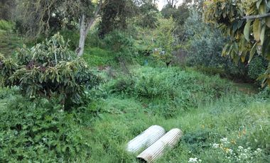 Se vende terreno sector Los Coligues  de Quilpué