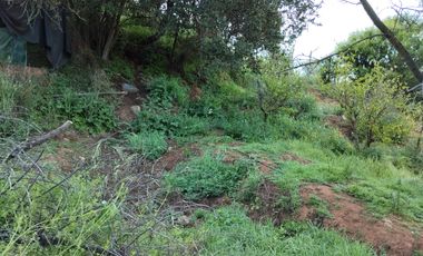 Se vende terreno sector Los Coligues  de Quilpué