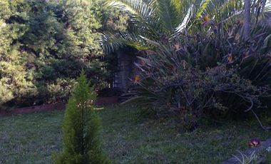 Casa - Punta Lara
