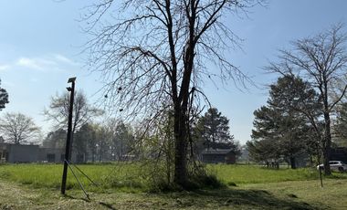 Terreno en venta en Amarylis Club de Campo