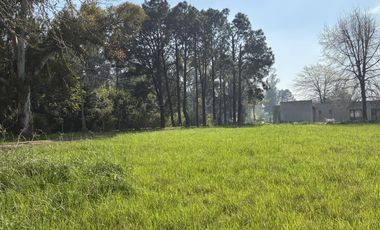 Terreno en venta en Amarylis Club de Campo