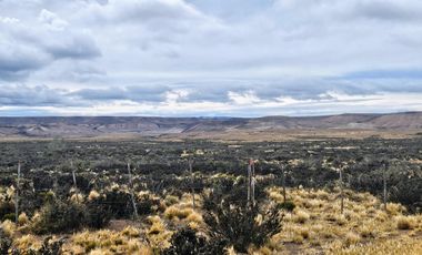 Campo sobre RP 39, a solo 60 km del pavimento, oportunidad..!