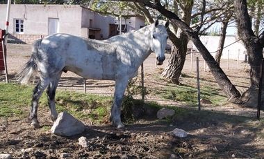 Campo sobre RP 39, a solo 60 km del pavimento, oportunidad..!