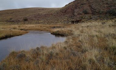 Campo sobre RP 39, a solo 60 km del pavimento, oportunidad..!