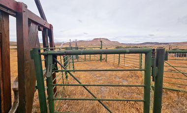 Campo sobre RP 39, a solo 60 km del pavimento, oportunidad..!