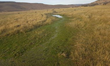 Campo sobre RP 39, a solo 60 km del pavimento, oportunidad..!
