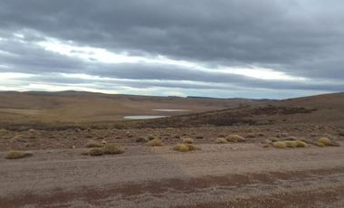 Campo sobre RP 39, a solo 60 km del pavimento, oportunidad..!