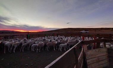 Campo sobre RP 39, a solo 60 km del pavimento, oportunidad..!