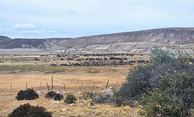 Campo sobre RP 39, a solo 60 km del pavimento, oportunidad..!