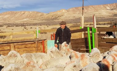 Campo sobre RP 39, a solo 60 km del pavimento, oportunidad..!