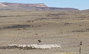 Campo sobre RP 39, a solo 60 km del pavimento, oportunidad..!