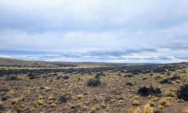 Campo sobre RP 39, a solo 60 km del pavimento, oportunidad..!