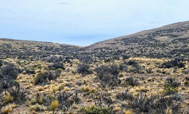 Campo sobre RP 39, a solo 60 km del pavimento, oportunidad..!