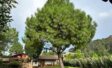 Casa, turistica, Mazamitla