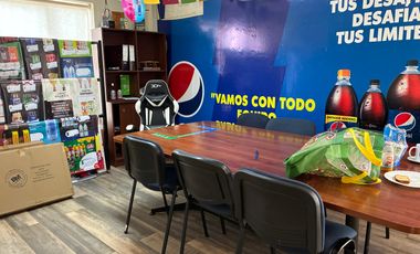 SE VENDE PROPIEDAD DE 940 M2 A PASOS DE LA PLAZA DE  CURICO