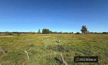 TERRENO URBANO EN VENTA A MINUTOS DE MALL VIVO CHILLÁN