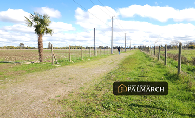 PARCELA DE 5000M2 A 12 MINUTOS DE CHILLAN