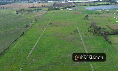 PARCELA DE 5000M2 A 12 MINUTOS DE CHILLAN