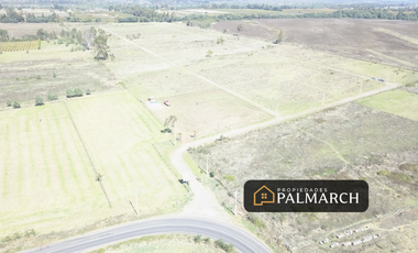 PARCELA DE 5000M2 A 12 MINUTOS DE CHILLAN