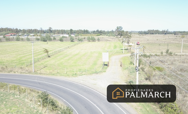 PARCELA DE 5000M2 A 12 MINUTOS DE CHILLAN
