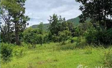 3 Bedroom House for sale in Makhuea Chae, Lamphun