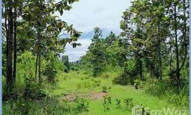 3 Bedroom House for sale in Makhuea Chae, Lamphun