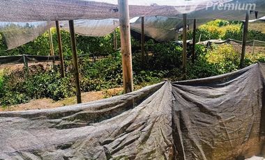 Casa en Venta en Exclusividad y espacio: Casa en Calera de Tango