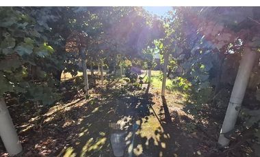 Casa en venta de 5 d en Linares