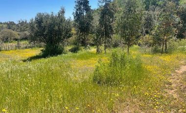 ¡PARCELA EN MELIPILLA! 2 CASAS + AMOBLADO