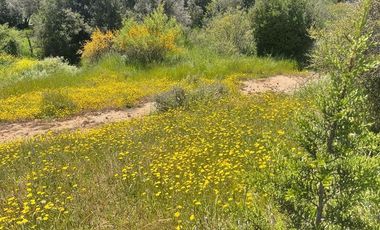 ¡PARCELA EN MELIPILLA! 2 CASAS + AMOBLADO