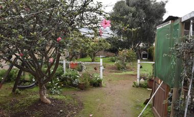 Vivabien Propiedades Vende Increible Casa en Cerro Placeres, Valparaiso