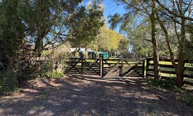 Casa de campo en entorno arbolado y tranquilo – La Araucaria, Lobos, Calle 11