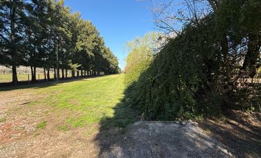 Casa de campo en entorno arbolado y tranquilo – La Araucaria, Lobos, Calle 11