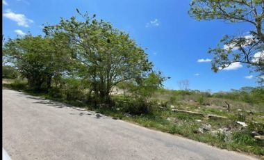 TERRENO SOBRE ANILLO PERIFERICO DE MOTUL CARA INTERIOR