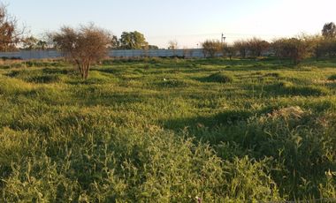 Grace Kelm Vende hermosa Parcela Plana con luz y cercado, a minutos de ruta 5 Sur en Linares