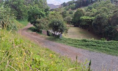 DAPA LOTE CON TINY  HOUSE LISTO PARA CONSTRUIR REF. DAP02042026