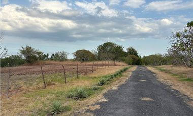 SAN CARLOS / LAGOMAR / 3726M / SOBRE LA VIA / VISTA AL LAGO / AG