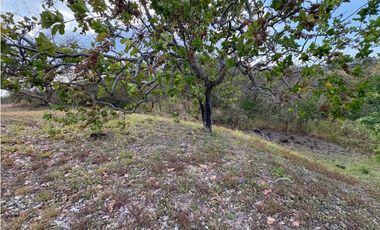 SAN CARLOS / LAGOMAR / 3726M / SOBRE LA VIA / VISTA AL LAGO / AG
