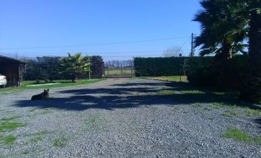 CABAÑA DENTRO PARCELA PAINE NUEVO HORIZONTE DOS DORMITORIOS