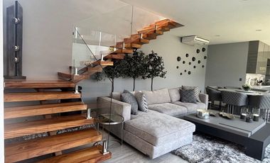 Espectacular  proyecto