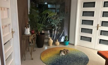 RUTA 68 CAMINO A VIÑA