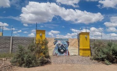 VENTA CASA QUINTA EN CERRILLO BARBOZA RAWSON