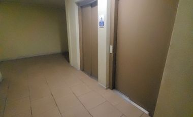 PARQUE OHIGGINS / SAN IGNACIO